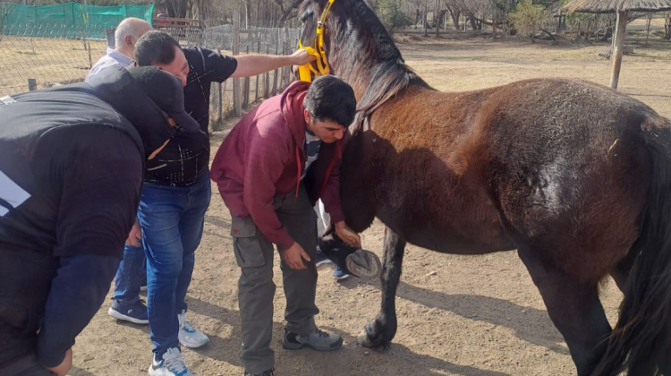 La Granja Escolar Cruz de Piedra recibió a un veterinario para una revisión sanitaria integral