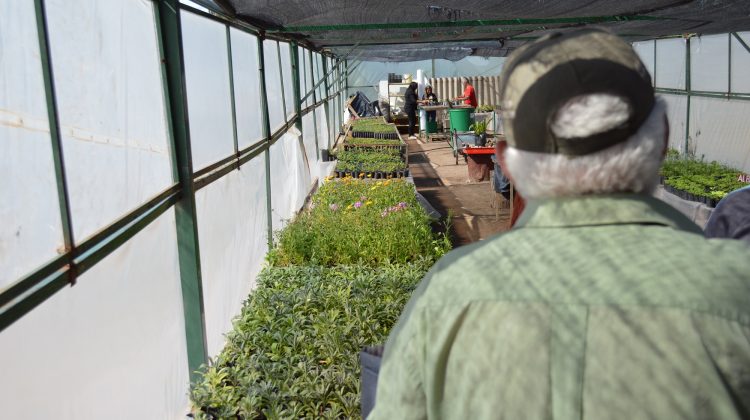 Desarrollo Humano produce verduras, hortalizas, aromáticas, frutas y ornamentales