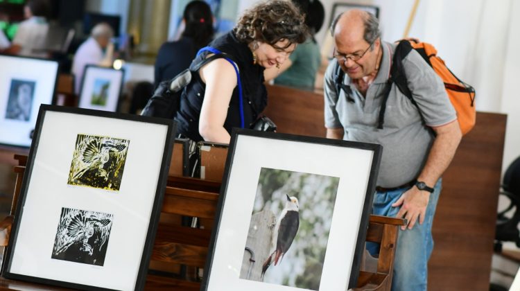 San Luis Libro inauguró la exposición ‘Cien aves de San Luis’