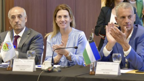 La Provincia participó en el Consejo Federal de Relaciones Exteriores y Comercio Internacional