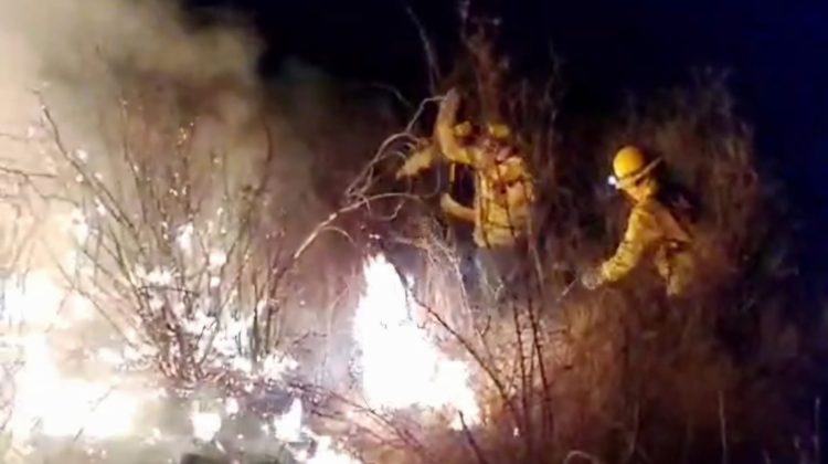 Tras un arduo trabajo, bomberos y brigadistas contuvieron un incendio en Carpintería