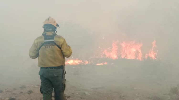 Bomberos trabajan en un incendio forestal en Batavia