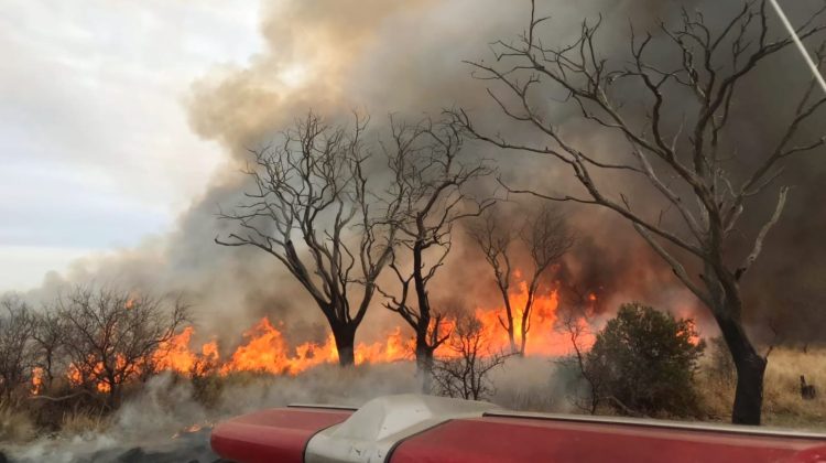 Brigadistas y bomberos voluntarios combaten un incendio de gran magnitud en el sur de San Luis