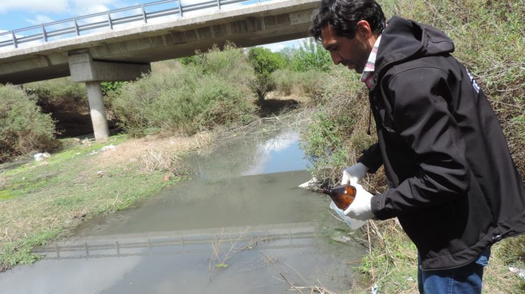 Se conocieron las causas de la mortandad de carpas en el río Conlara