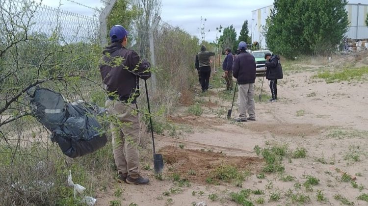 Forestaron los laterales de la planta recicladora de Donovan