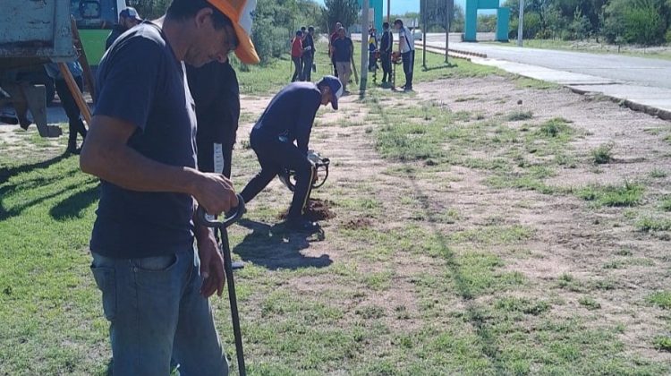 Avanza la forestación en el acceso a San Gerónimo