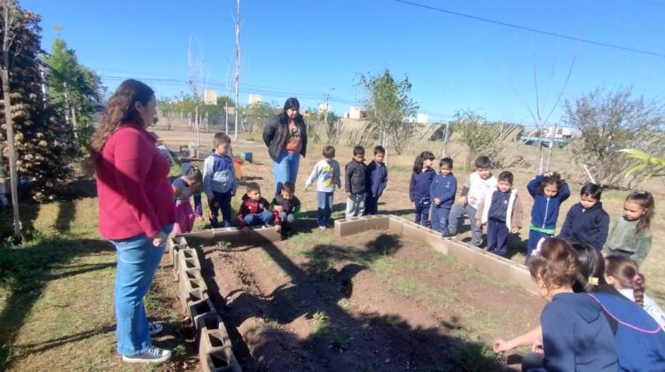 La Escuela Generativa Universo D-Mentes puso en marcha su huerta productiva escolar