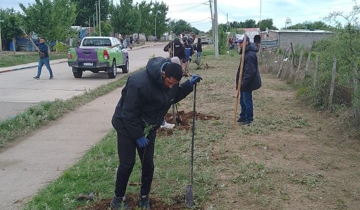 Avanza la forestación en la localidad de Cazador