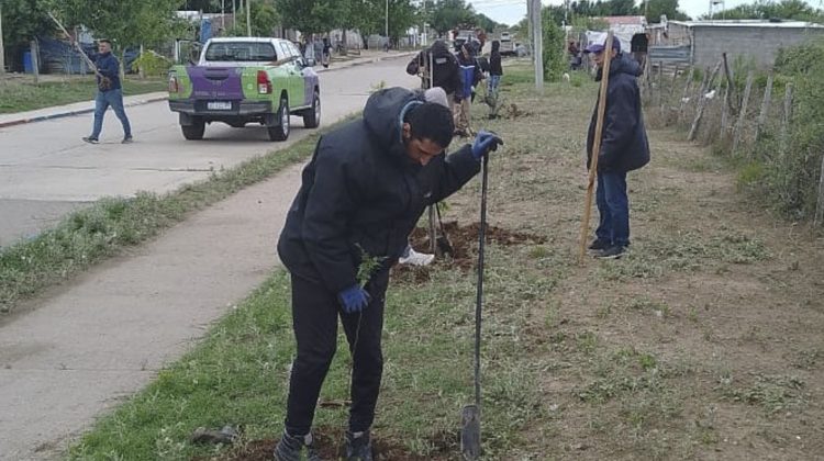 Avanza la forestación en la localidad de Cazador