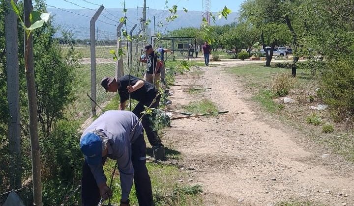 Terminaron la triple cortina forestal de ‘El Jote’