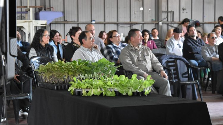 El sábado 2 de noviembre habrá una Expo Frutihortícola Gastronómica