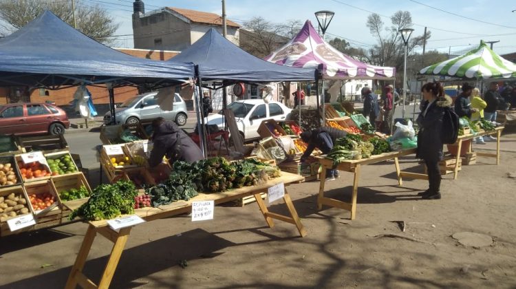 La venta directa de los jueves se trasladará a la plaza Maximiliano Toro