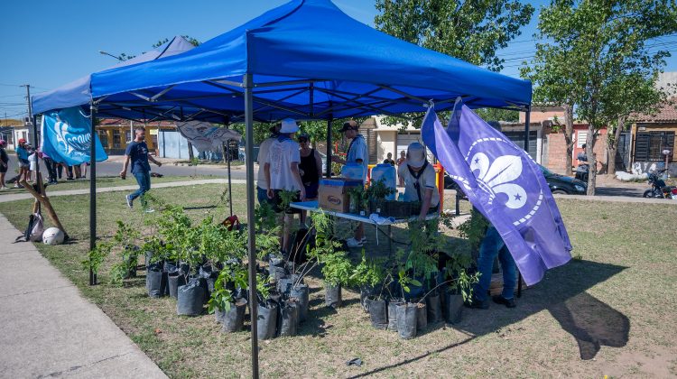 El grupo ‘Tañi Mapu’ plantó árboles en la plaza Scouts de Argentina de La Ribera