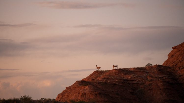 Celebrarán el día de los Parques Nacionales con una visita guiada por Sierra de las Quijadas