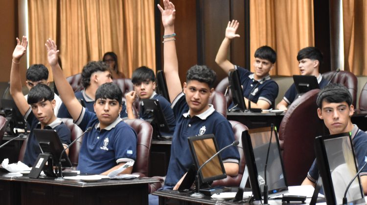 Los chicos del Colegio ‘San Luis Rey’ fueron ‘Diputados por un día’