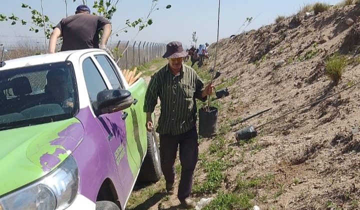 La cortina forestal de ‘Peuma’ ya cuenta con un 70% de plantaciones