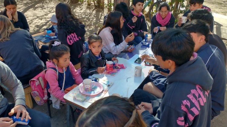 Pequeños estudiantes de Carpintería promueven el cuidado de las aves autóctonas