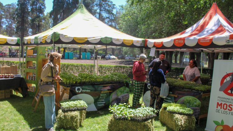 Tuvo un éxito rotundo la ‘Expo Frutihortícola y Gastronómica’ en el vivero IMProFoP SAPEM