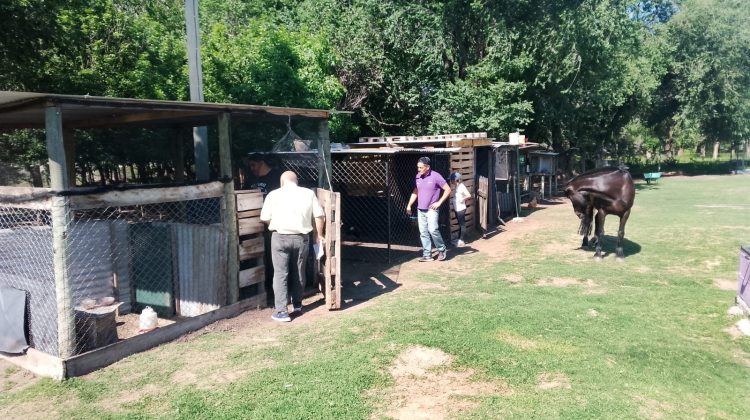 Refuerzan los controles en la Granja Cruz de Piedra con visitas veterinarias