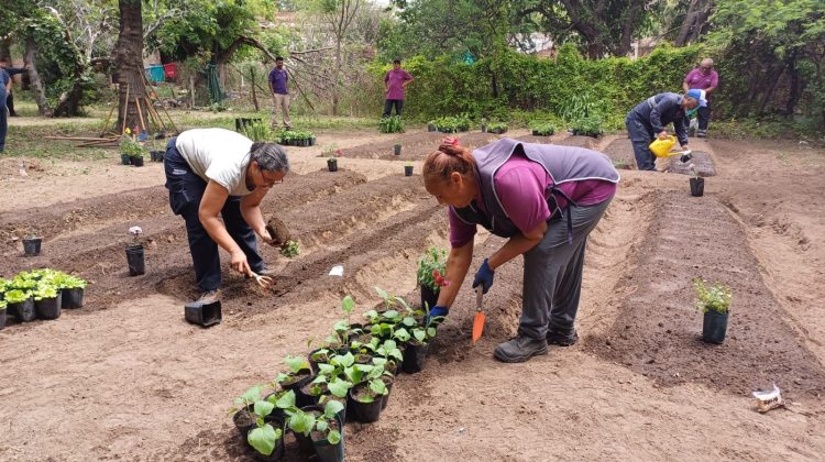 La Asociación Ayacucho-Belgrano inauguró su huerta comunitaria