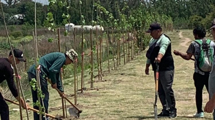 Comenzó la forestación de los Espejos de Agua en Villa Mercedes