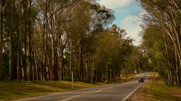 La semana arrancó fresca, pero con el correr de los días subirá la temperatura