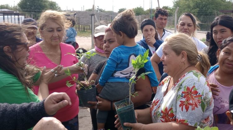 Entregaron plantines para la huerta comunitaria del barrio República