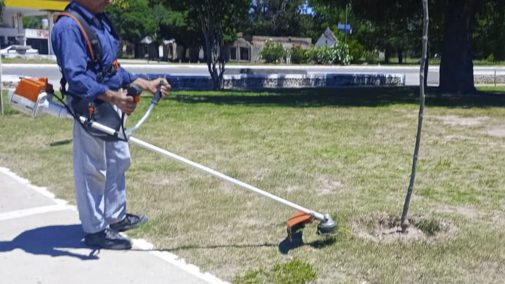 La terminal de La Toma refuerza medidas preventivas contra el dengue