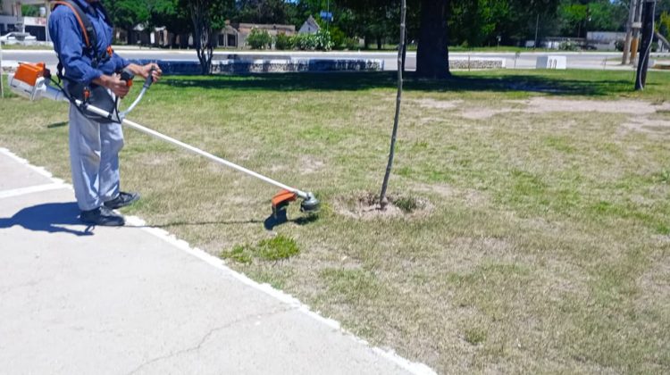 La terminal de La Toma refuerza medidas preventivas contra el dengue