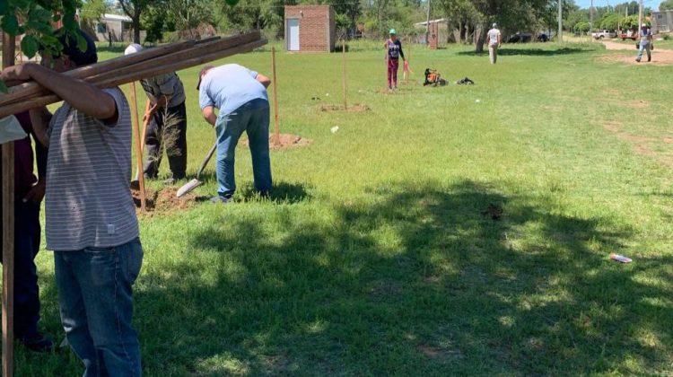 La secretaría de Ambiente plantó más de 150 árboles en clubes y áreas públicas