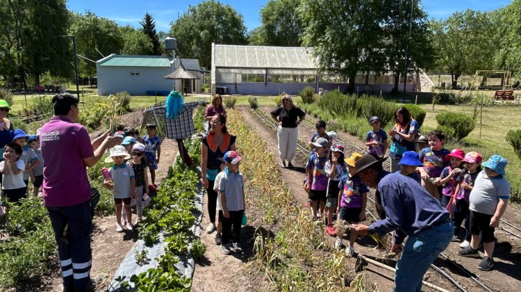 La ENI ‘Burbujitas’ participó en la cosecha de ajos