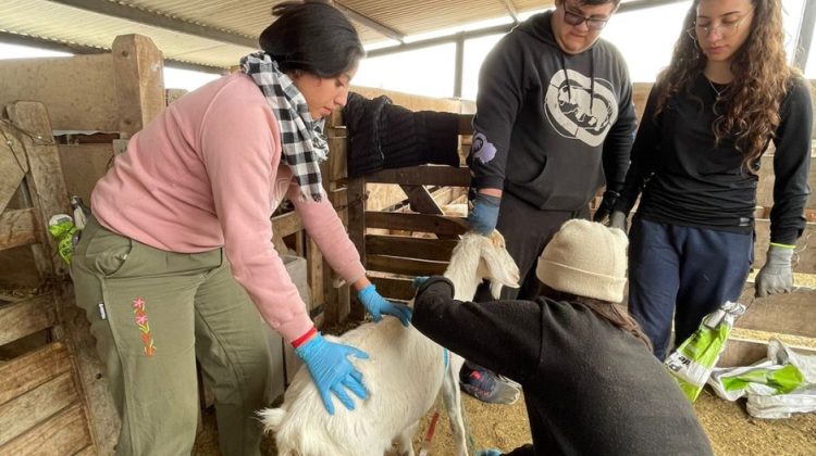 Sol Puntano abre sus puertas para formar a futuros veterinarios