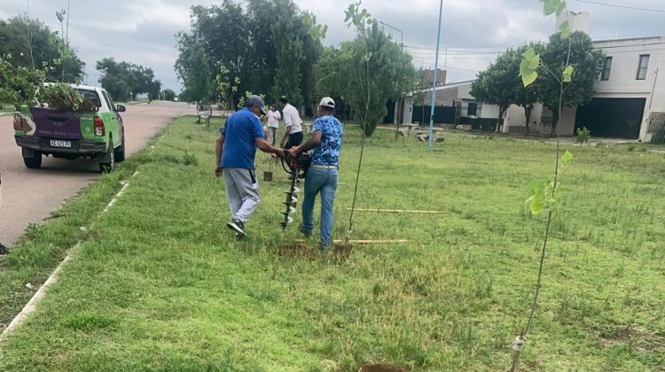 Concluyó la forestación en cercanías del barrio La Ribera de Villa Mercedes