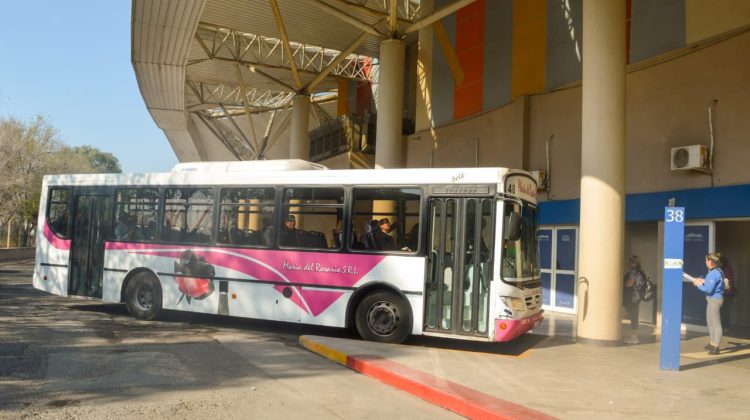 Servicio directo y especial de transporte para la celebración del empleado público