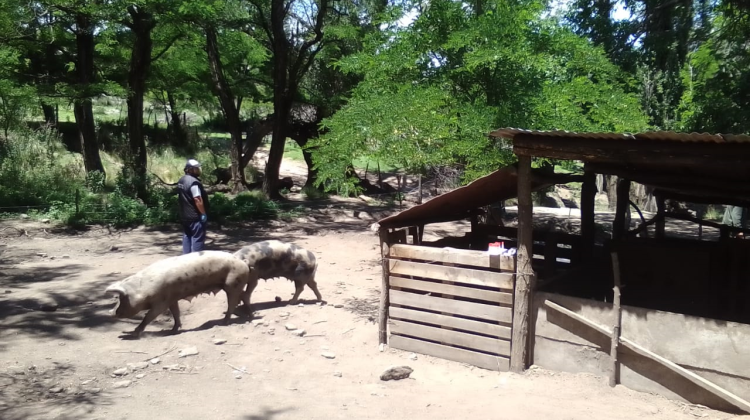 Continúa la asistencia sanitaria para pequeños productores rurales