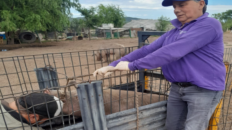 El Gobierno refuerza la sanidad animal en el departamento Pueyrredón