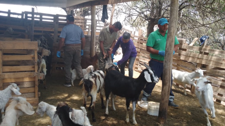 El programa de Promoción Rural llegó a Concarán y Pescadores