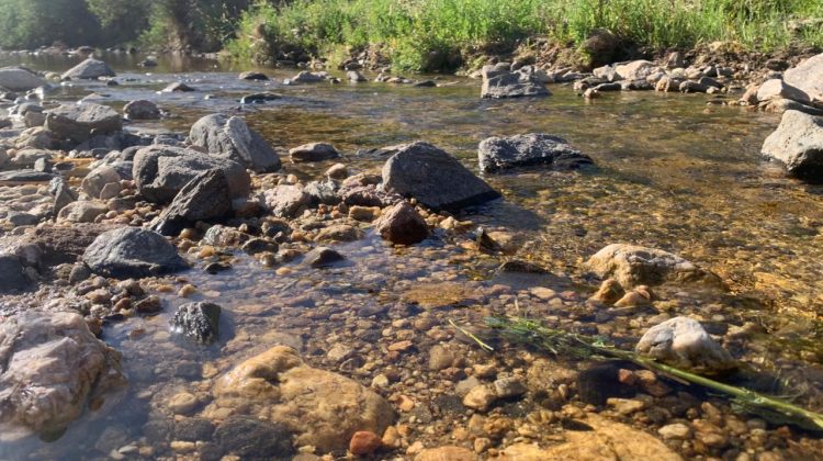 Balneario Boca del Río: un nuevo destino para el turismo en la Costa de los Comechingones