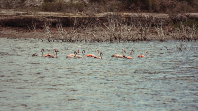 San Luis participó de la jornada nacional de administradores de sitios Ramsar