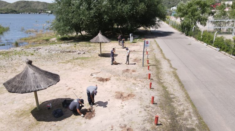 San Luis Agua forestó el dique de Potrero de los Funes