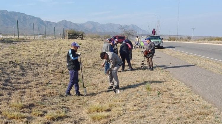 Ambiente llegó a cada región provincial dando prioridad a las especies autóctonas