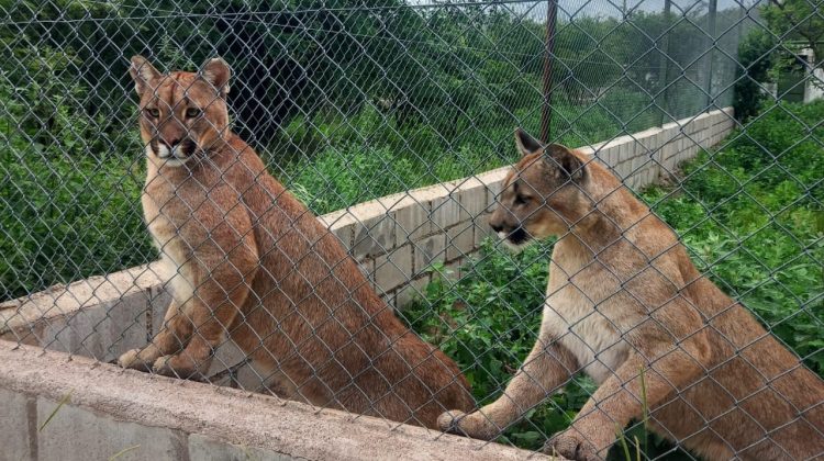 Nuevos horarios para visitar las áreas naturales de San Luis