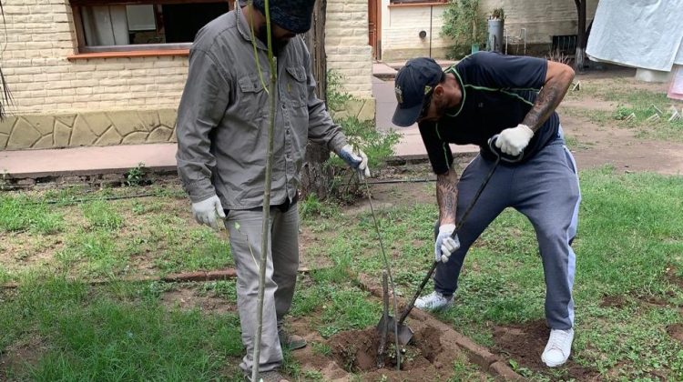 Ambiente forestó el Hogar de Ancianos ‘Santa Teresita’ de Villa Mercedes