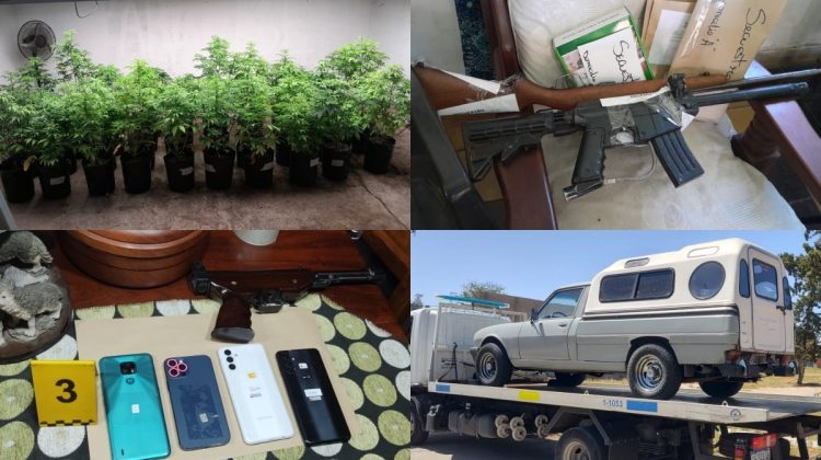 La Policía desmanteló en Estancia Grande una gran plantación de marihuana