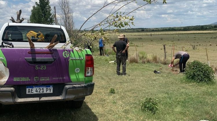 Ambiente realizó las últimas dos forestaciones del año