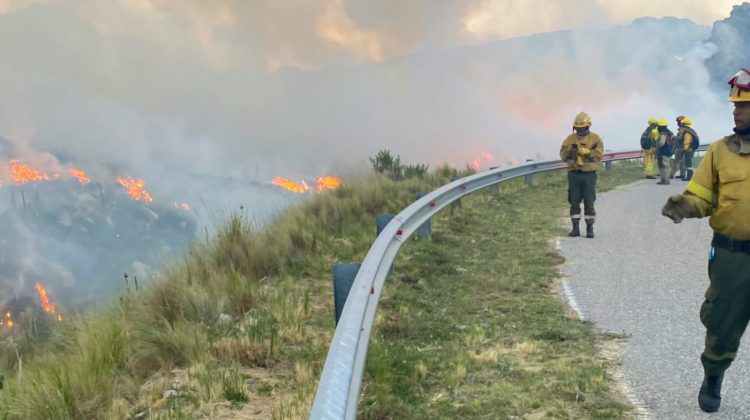 Extinguieron un incendio forestal en Nogolí