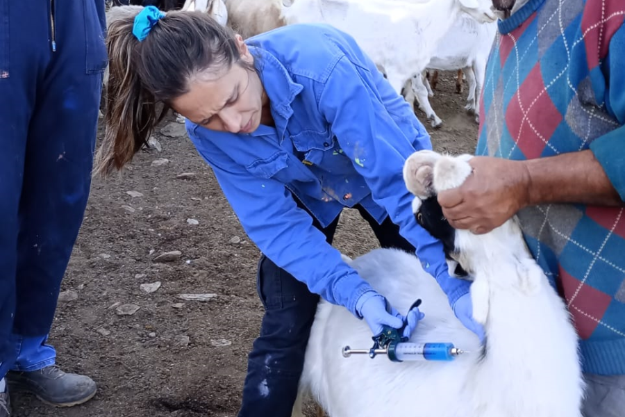 Continúan las jornadas de asistencia sanitaria del plan de Promoción Rural