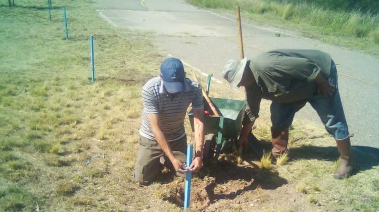 San Luis Agua forestó el dique Saladillo con 200 árboles