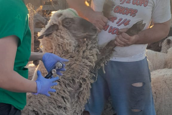 El equipo de asistencia sanitaria visitó el paraje Las Liebres