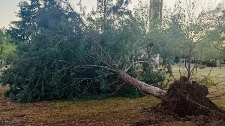 Dieron a conocer el estado de los parques provinciales 